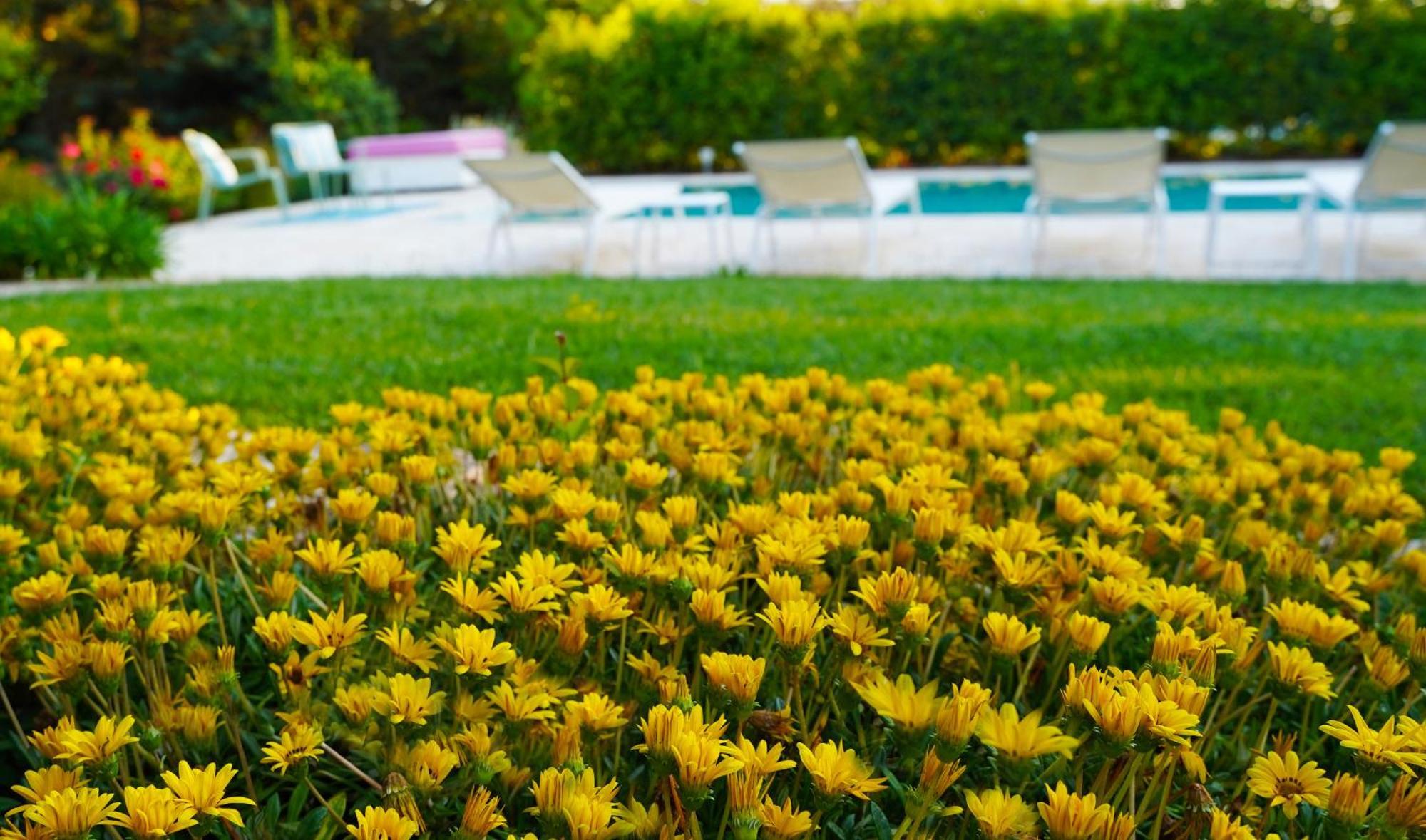 Trullo Amarcord Villa เซลวา ดิ ฟาซาโน ภายนอก รูปภาพ